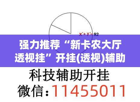 强力推荐“新卡农大厅透视挂”开挂(透视)辅助教程