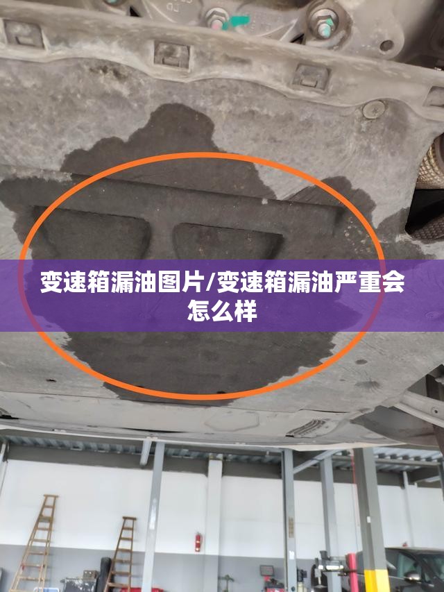 变速箱漏油图片/变速箱漏油严重会怎么样 变速箱漏油图片/变速箱漏油严重会怎么样