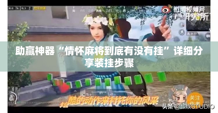 助赢神器“情怀麻将到底有没有挂”详细分享装挂步骤