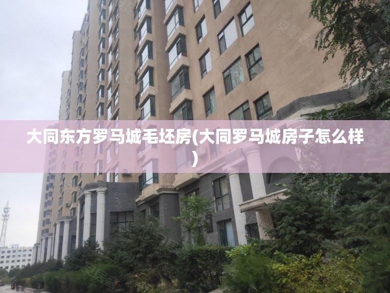 大同东方罗马城毛坯房(大同罗马城房子怎么样) 大同东方罗马城毛坯房(大同罗马城房子怎么样)