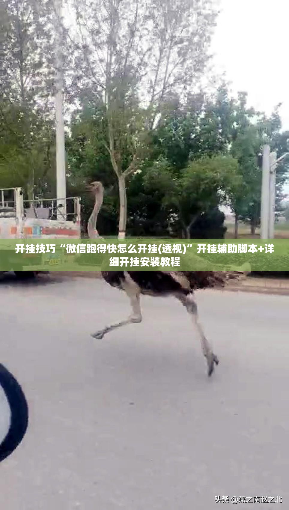 开挂技巧“微信跑得快怎么开挂(透视)	”开挂辅助脚本+详细开挂安装教程