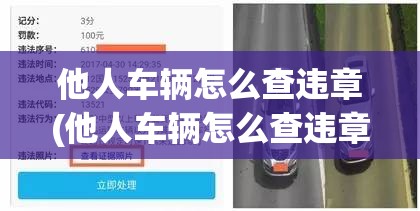 他人车辆怎么查违章(他人车辆怎么查违章照片)