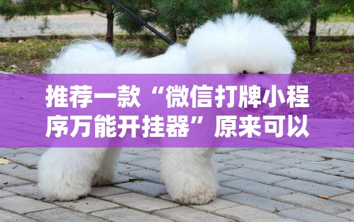 推荐一款“微信打牌小程序万能开挂器	”原来可以开挂