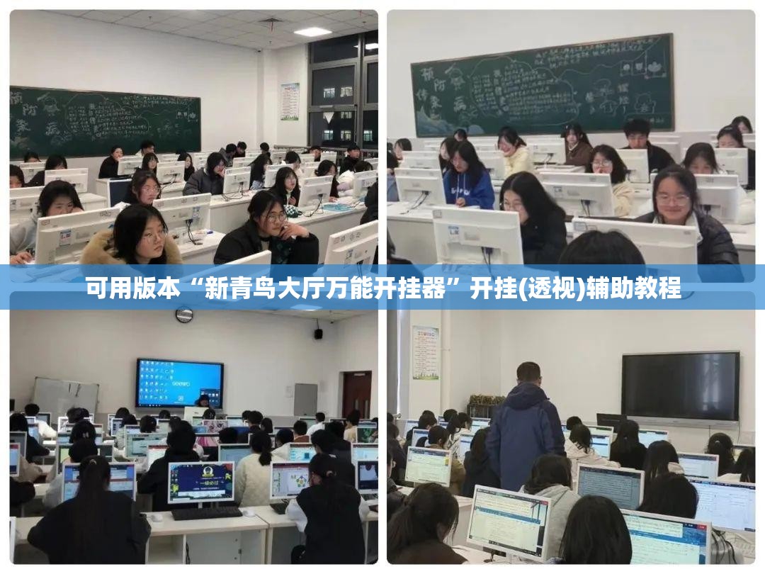 可用版本“新青鸟大厅万能开挂器”开挂(透视)辅助教程