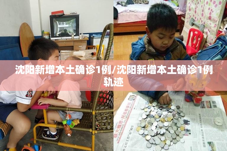 沈阳新增本土确诊1例/沈阳新增本土确诊1例轨迹 沈阳新增本土确诊1例/沈阳新增本土确诊1例轨迹