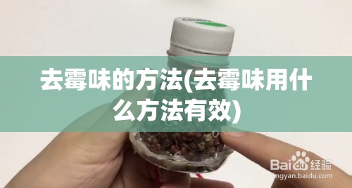 去霉味的方法(去霉味用什么方法有效)