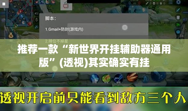 推荐一款“新世界开挂辅助器通用版”(透视)其实确实有挂