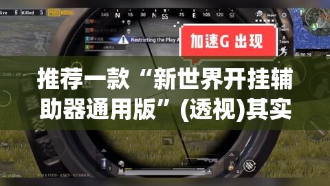推荐一款“新世界开挂辅助器通用版	”(透视)其实确实有挂