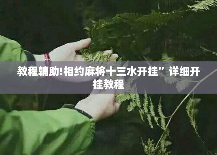 教程辅助!相约麻将十三水开挂”详细开挂教程