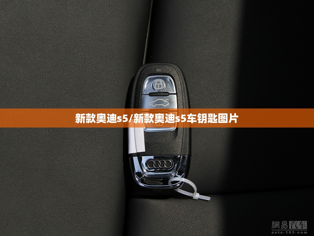 新款奥迪s5/新款奥迪s5车钥匙图片