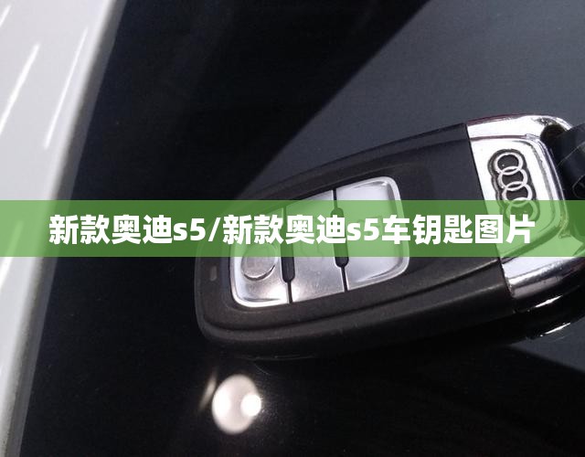新款奥迪s5/新款奥迪s5车钥匙图片