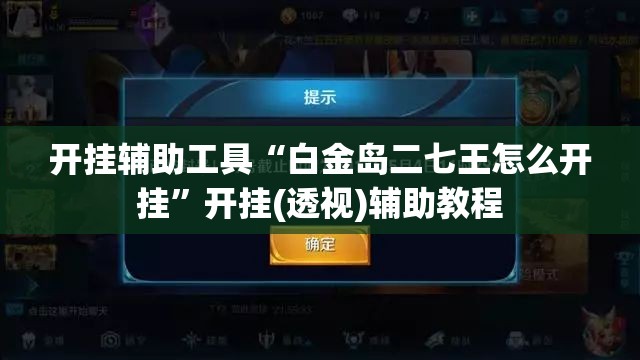 开挂辅助工具“白金岛二七王怎么开挂”开挂(透视)辅助教程
