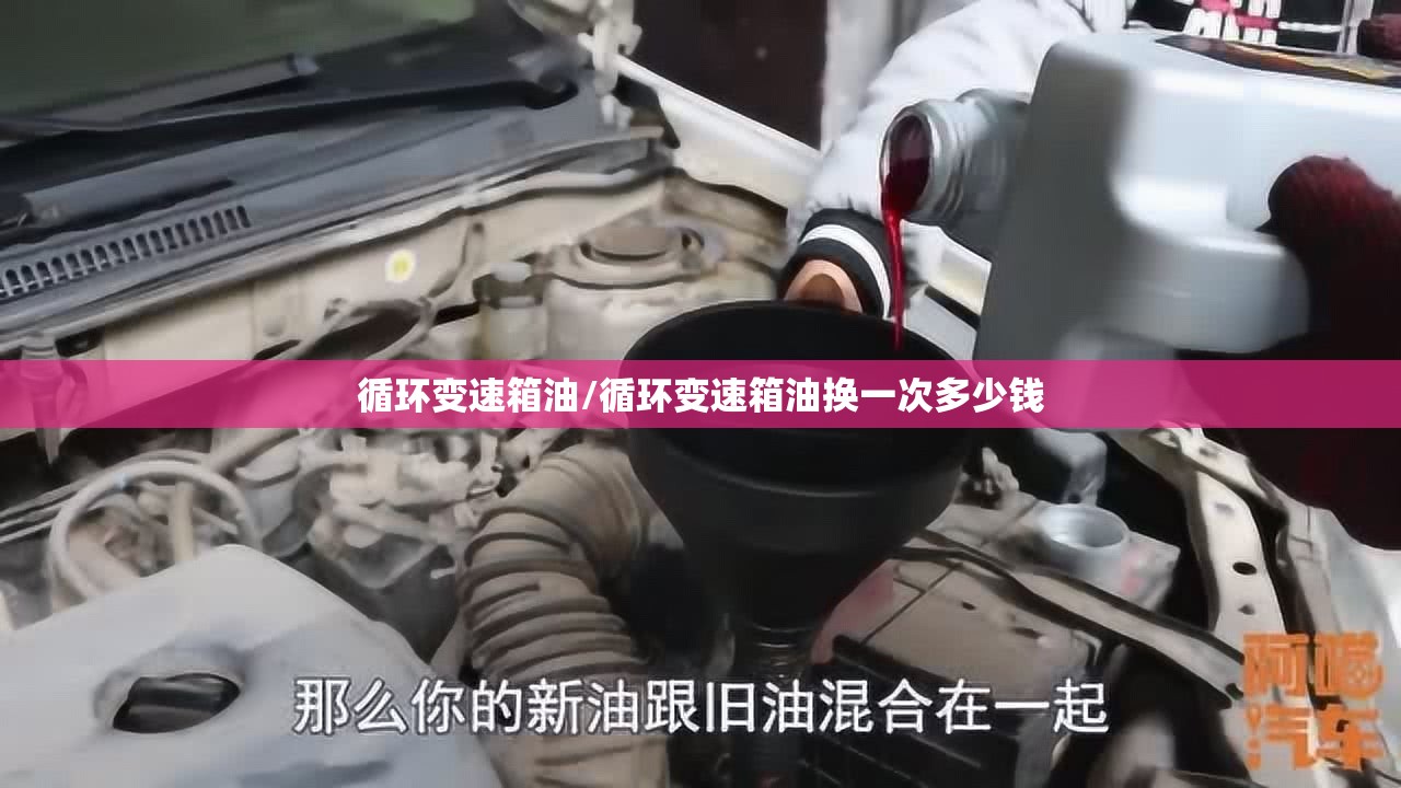 循环变速箱油/循环变速箱油换一次多少钱
