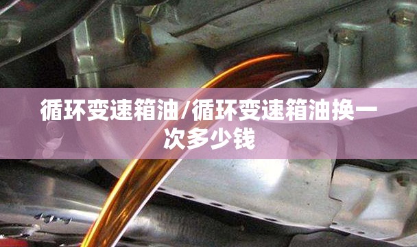 循环变速箱油/循环变速箱油换一次多少钱