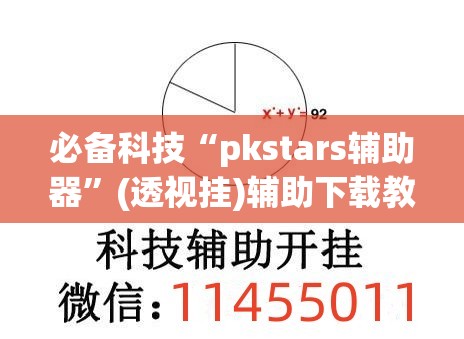必备科技“pkstars辅助器”(透视挂)辅助下载教程