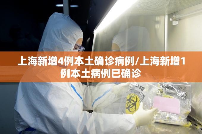 上海新增4例本土确诊病例/上海新增1例本土病例巳确诊 上海新增4例本土确诊病例/上海新增1例本土病例巳确诊