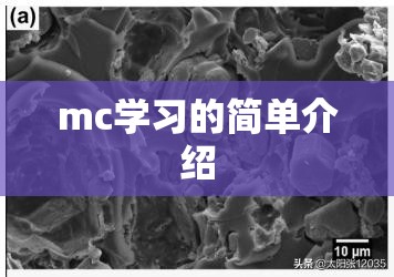 mc学习的简单介绍 mc学习的简单介绍