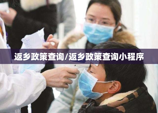 返乡政策查询/返乡政策查询小程序
