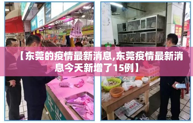 【东莞的疫情最新消息,东莞疫情最新消息今天新增了15例】 【东莞的疫情最新消息,东莞疫情最新消息今天新增了15例】
