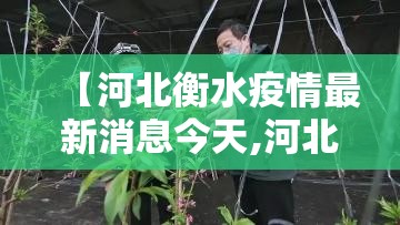 【河北衡水疫情最新消息今天,河北衡水疫情最新消息今天新增】 【河北衡水疫情最新消息今天,河北衡水疫情最新消息今天新增】