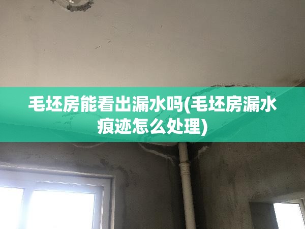 毛坯房能看出漏水吗(毛坯房漏水痕迹怎么处理) 毛坯房能看出漏水吗(毛坯房漏水痕迹怎么处理)