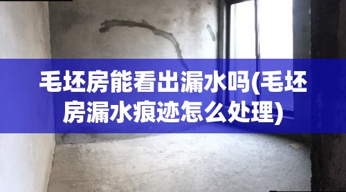 毛坯房能看出漏水吗(毛坯房漏水痕迹怎么处理) 毛坯房能看出漏水吗(毛坯房漏水痕迹怎么处理)