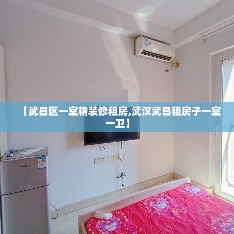 【武昌区一室精装修租房,武汉武昌租房子一室一卫】