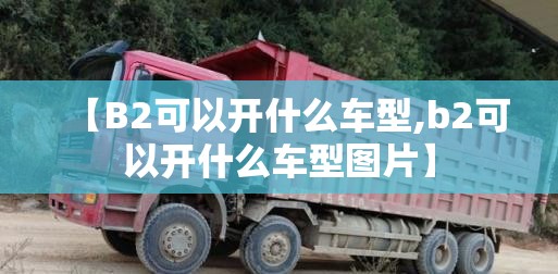 【B2可以开什么车型,b2可以开什么车型图片】 【B2可以开什么车型,b2可以开什么车型图片】
