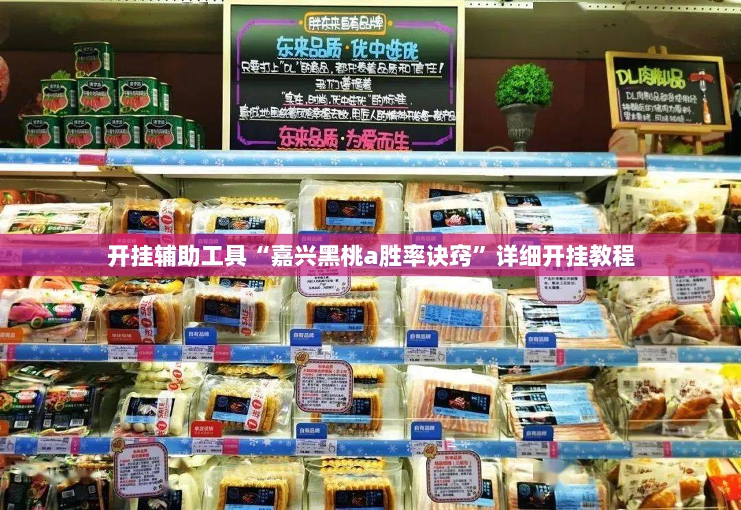 开挂辅助工具“嘉兴黑桃a胜率诀窍”详细开挂教程