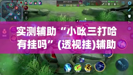 实测辅助“小吆三打哈有挂吗”(透视挂)辅助下载教程