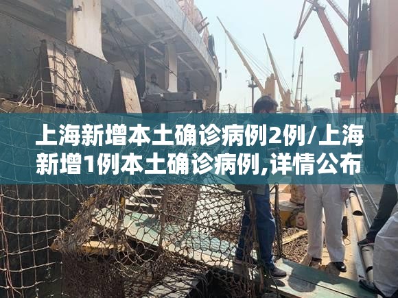 上海新增本土确诊病例2例/上海新增1例本土确诊病例,详情公布 上海新增本土确诊病例2例/上海新增1例本土确诊病例,详情公布