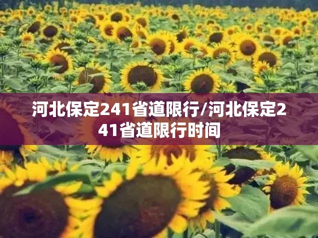 河北保定241省道限行/河北保定241省道限行时间 河北保定241省道限行/河北保定241省道限行时间