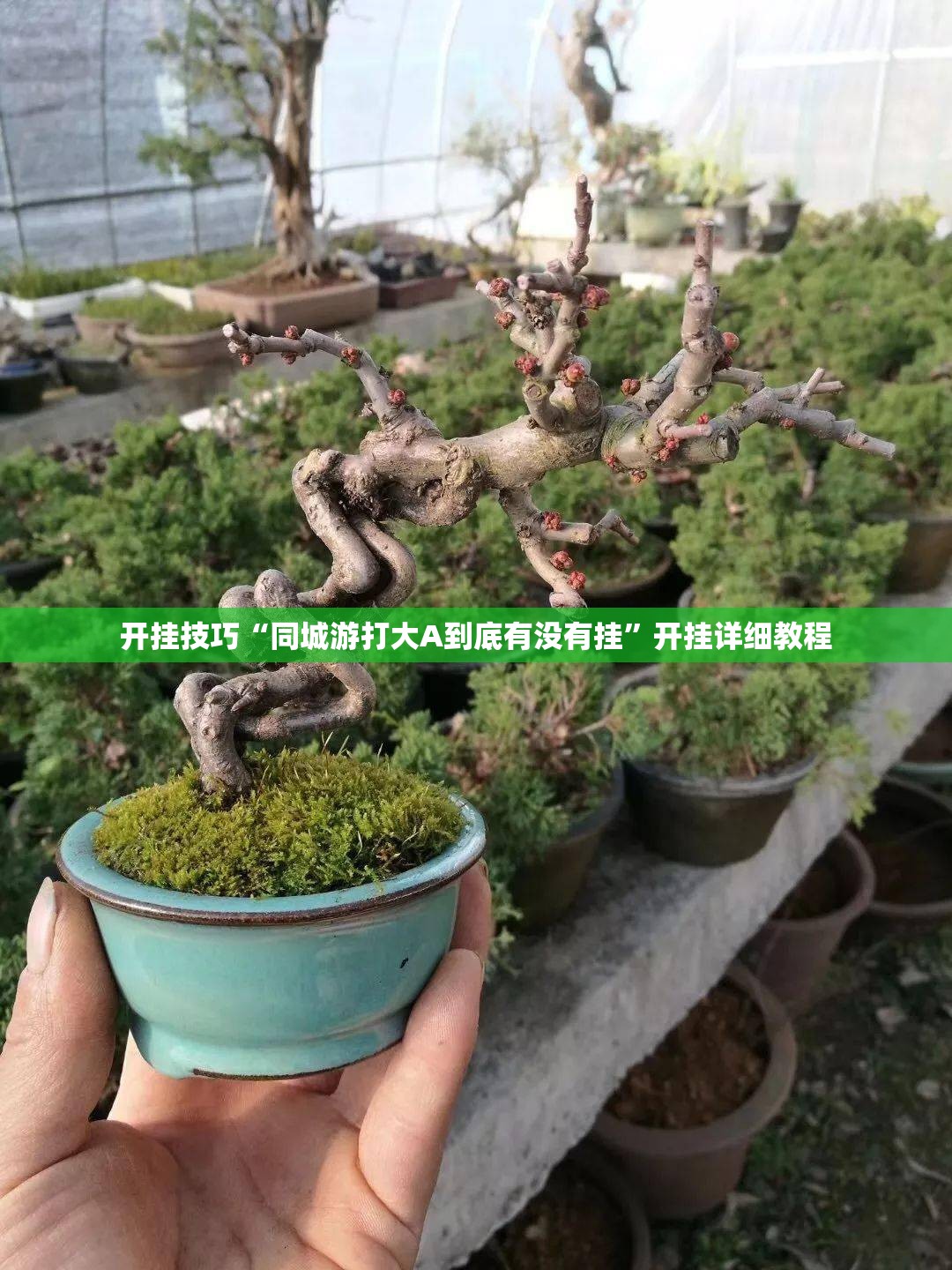 开挂技巧“同城游打大A到底有没有挂”开挂详细教程