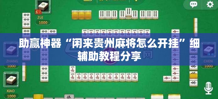 助赢神器“闲来贵州麻将怎么开挂”细辅助教程分享