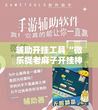 辅助开挂工具“微乐捉老麻子开挂神器”详细开挂教程