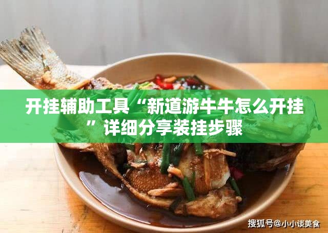 开挂辅助工具“新道游牛牛怎么开挂”详细分享装挂步骤