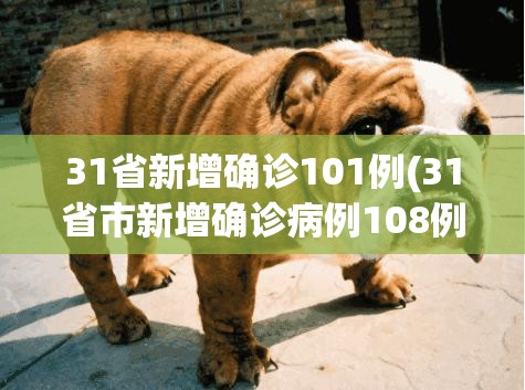 31省新增确诊101例(31省市新增确诊病例108例)