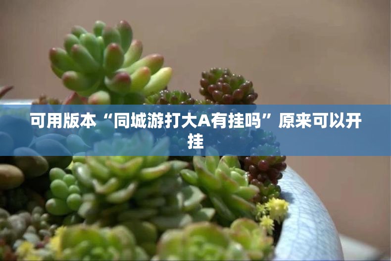 可用版本“同城游打大A有挂吗”原来可以开挂