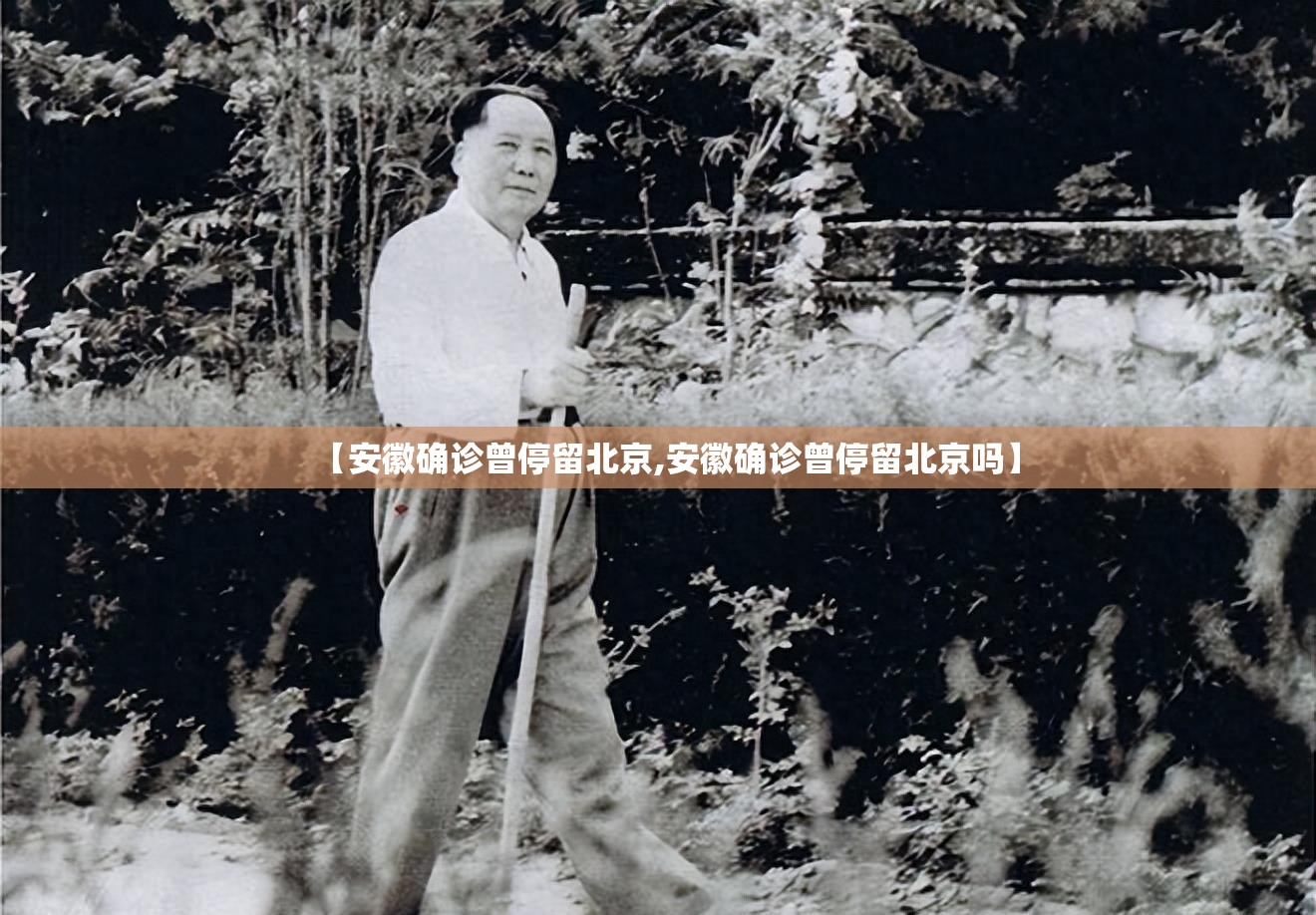 【安徽确诊曾停留北京,安徽确诊曾停留北京吗】 【安徽确诊曾停留北京,安徽确诊曾停留北京吗】
