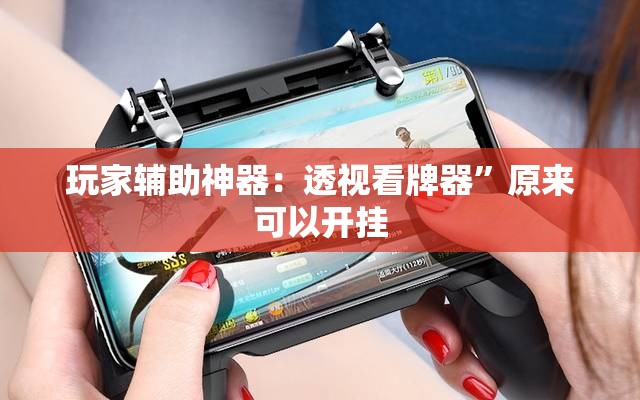 玩家辅助神器：透视看牌器”原来可以开挂