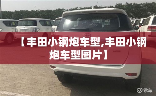 【丰田小钢炮车型,丰田小钢炮车型图片】