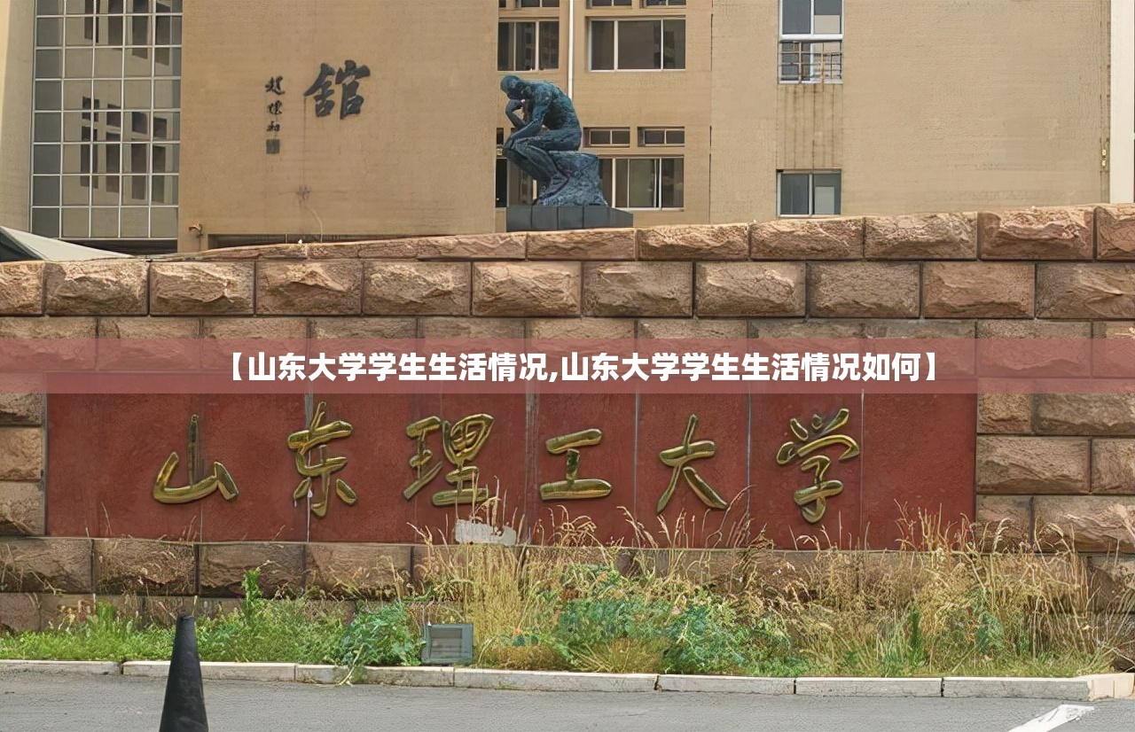 【山东大学学生生活情况,山东大学学生生活情况如何】