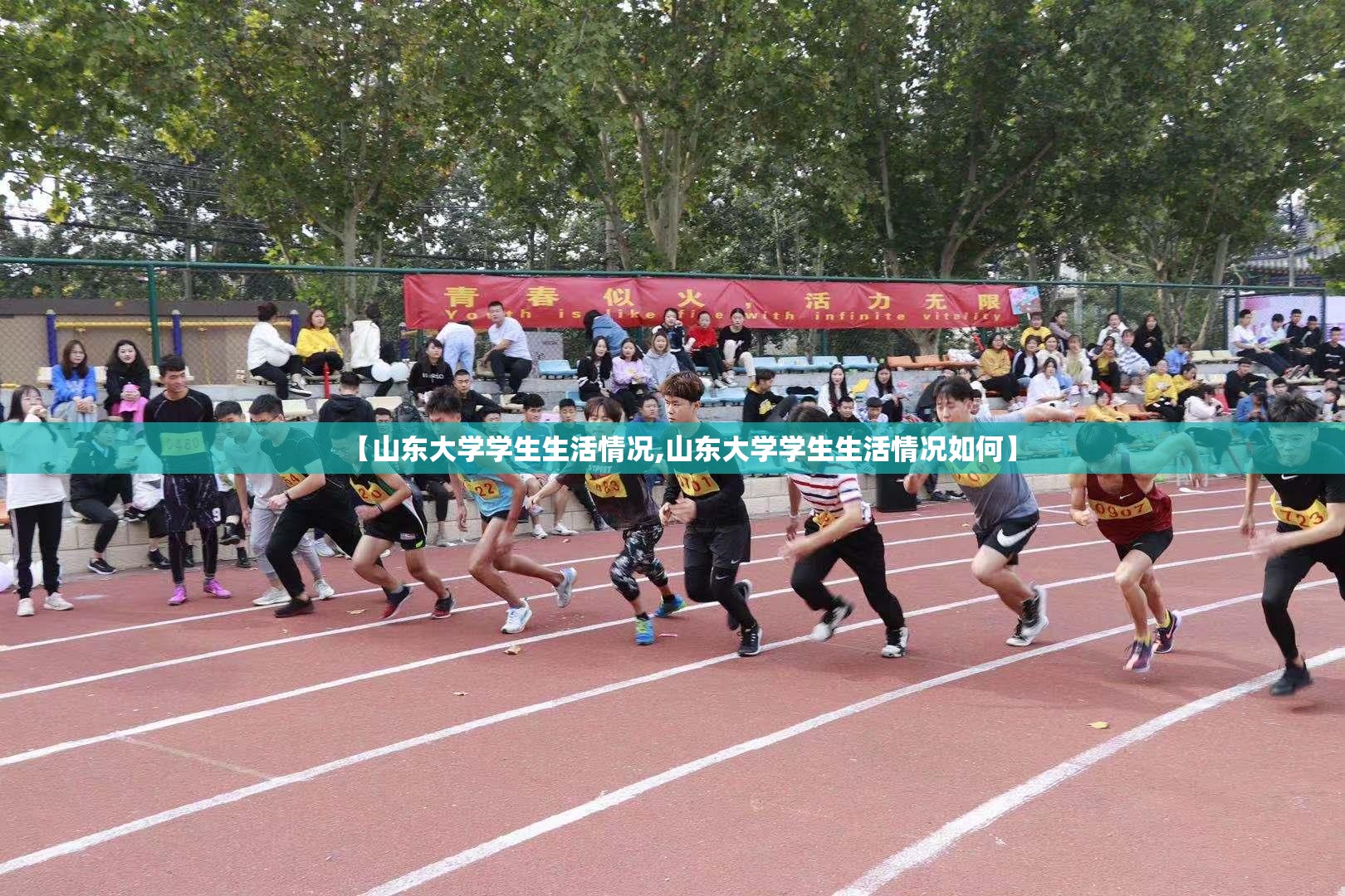 【山东大学学生生活情况,山东大学学生生活情况如何】