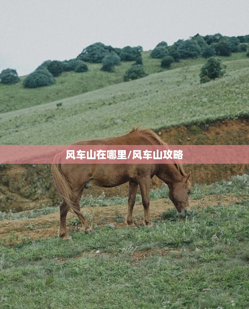 风车山在哪里/风车山攻略 风车山在哪里/风车山攻略