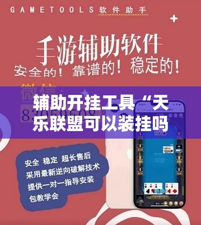 辅助开挂工具“天乐联盟可以装挂吗”细辅助教程分享