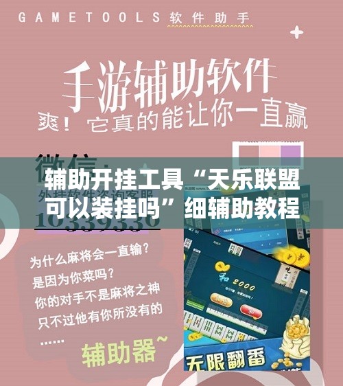 辅助开挂工具“天乐联盟可以装挂吗”细辅助教程分享