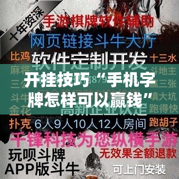 开挂技巧“手机字牌怎样可以赢钱”详细外挂透视辅助软件教程