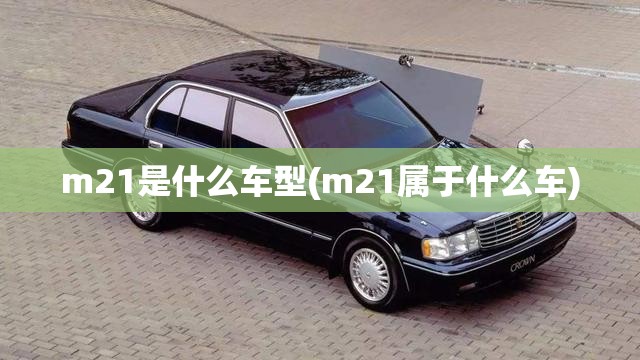 m21是什么车型(m21属于什么车)