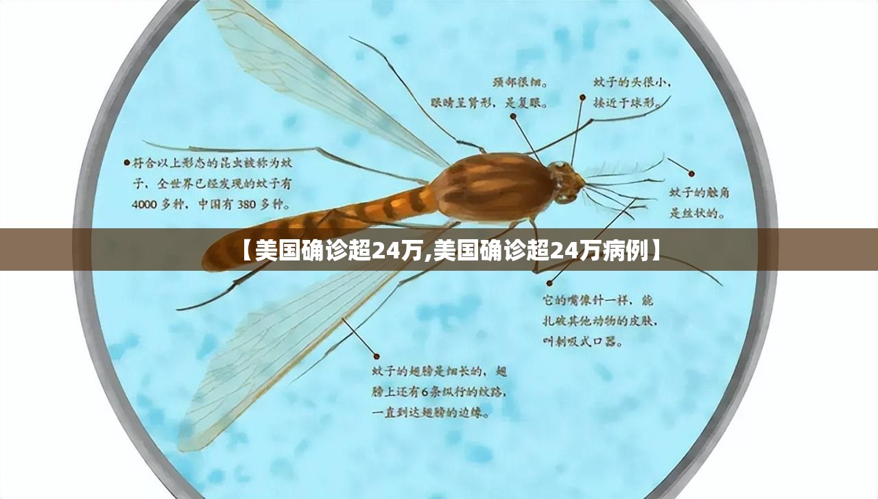【美国确诊超24万,美国确诊超24万病例】 【美国确诊超24万,美国确诊超24万病例】