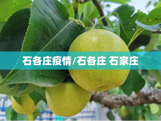 石各庄疫情/石各庄 石家庄 石各庄疫情/石各庄 石家庄